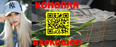 шишки Ставрополь
