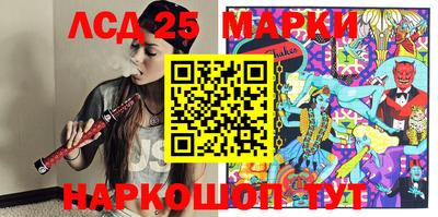 шишки Ставрополь