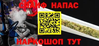 шишки Ставрополь